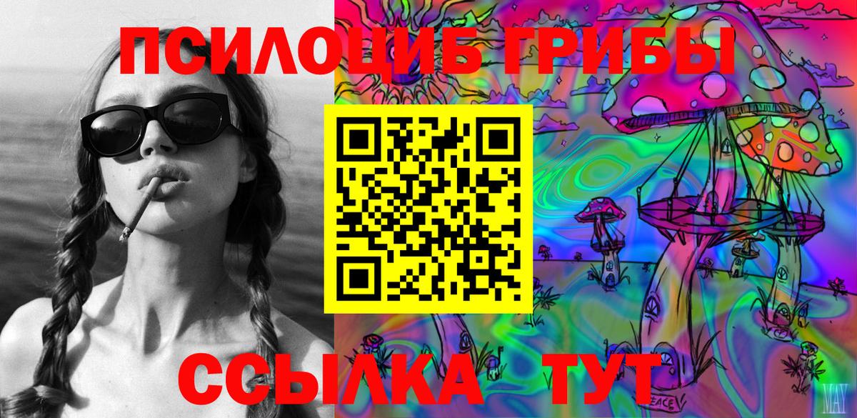 Галлюциногенные грибы Psilocybine cubensis Электросталь