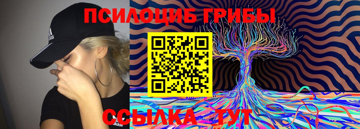 Псилоцибиновые грибы MAGIC MUSHROOMS  Вход с VPN  Галлюциногенные грибы мухоморы  Электросталь 